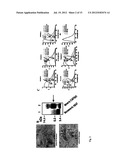 Methods and System for Detecting Soluble Amyloid-Beta diagram and image