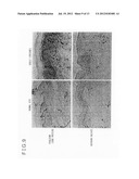 HEPARANASE ACTIVITY INHIBITOR diagram and image