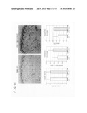 HEPARANASE ACTIVITY INHIBITOR diagram and image