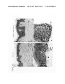 HEPARANASE ACTIVITY INHIBITOR diagram and image