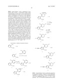 INHIBITORS OF HEPATITIS C VIRUS POLYMERASE diagram and image