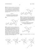 INHIBITORS OF HEPATITIS C VIRUS POLYMERASE diagram and image