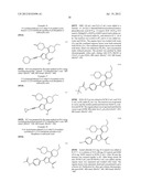 INHIBITORS OF HEPATITIS C VIRUS POLYMERASE diagram and image