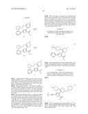 INHIBITORS OF HEPATITIS C VIRUS POLYMERASE diagram and image