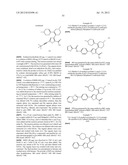 INHIBITORS OF HEPATITIS C VIRUS POLYMERASE diagram and image