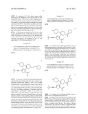 INHIBITORS OF HEPATITIS C VIRUS POLYMERASE diagram and image