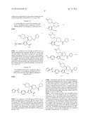 INHIBITORS OF HEPATITIS C VIRUS POLYMERASE diagram and image