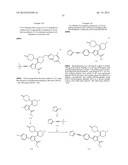 INHIBITORS OF HEPATITIS C VIRUS POLYMERASE diagram and image