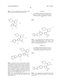 INHIBITORS OF HEPATITIS C VIRUS POLYMERASE diagram and image