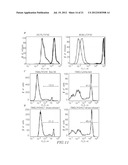 GAMMA SECRETASE INHIBITOR FOR TREATMENT OF HERPESVIRUS INFECTION diagram and image