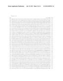 TCTEX-1 REGULATORY SEQUENCE AS STEM CELL MARKER diagram and image