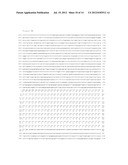 TCTEX-1 REGULATORY SEQUENCE AS STEM CELL MARKER diagram and image