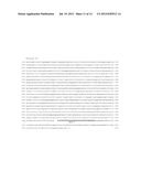 TCTEX-1 REGULATORY SEQUENCE AS STEM CELL MARKER diagram and image