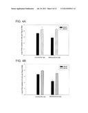 Lactobacillus Supplement for Alleviating Type I Diabetes diagram and image