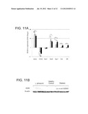 Lactobacillus Supplement for Alleviating Type I Diabetes diagram and image