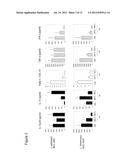 INFANT CEREAL COMPRISING NON-REPLICATING PROBIOTIC MICROORGANISMS diagram and image