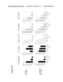 INFANT CEREAL COMPRISING NON-REPLICATING PROBIOTIC MICROORGANISMS diagram and image