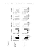 ORAL NUTRITIONAL SUPPLEMENT COMPRISING PROBIOTICS diagram and image