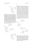 BIARYL PDE4 INHIBITORS FOR TREATING INFLAMMATORY, CARDIOVASCULAR AND CNS     DISORDERS diagram and image