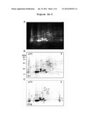 Methods and Compounds for Promoting Vessel Regression diagram and image