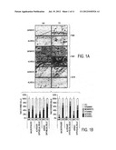 MOLECULAR TARGETS FOR TREATMENT OF INFLAMMATION diagram and image