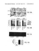 MOLECULAR TARGETS FOR TREATMENT OF INFLAMMATION diagram and image