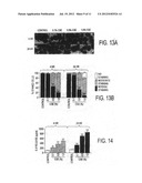 MOLECULAR TARGETS FOR TREATMENT OF INFLAMMATION diagram and image