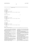 PNMT AS A NOVEL MARKER FOR PROGENITOR CELLS diagram and image