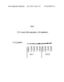 1,2,4-THIAZOLOIDIN-3-ONE DERIVATIVES AND THEIR USE IN THE TREATMENT OF     CANCER diagram and image