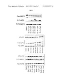 1,2,4-THIAZOLOIDIN-3-ONE DERIVATIVES AND THEIR USE IN THE TREATMENT OF     CANCER diagram and image