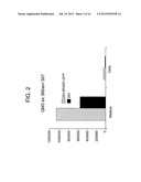 SPARC ANTISENSE COMPOSITIONS AND USES THEREOF diagram and image