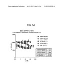 SPARC ANTISENSE COMPOSITIONS AND USES THEREOF diagram and image