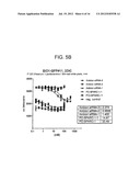 SPARC ANTISENSE COMPOSITIONS AND USES THEREOF diagram and image