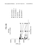 SPARC ANTISENSE COMPOSITIONS AND USES THEREOF diagram and image