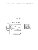 SPARC ANTISENSE COMPOSITIONS AND USES THEREOF diagram and image