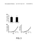 Cancer Metastasis Inhibitor diagram and image