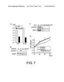 Cancer Metastasis Inhibitor diagram and image