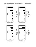 DIAGNOSTIC BIOMARKERS FOR FIBROTIC DISORDERS diagram and image