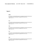 CD20-Binding Polypeptide Compositions and Methods diagram and image