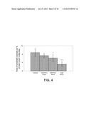 COMPOSITIONS AND METHODS COMPRISING VEGFR-2 AND VEGFR-3 ANTAGONISTS FOR     THE TREATMENT OF METASTATIC DISEASE diagram and image