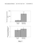 COMPOSITIONS AND METHODS COMPRISING VEGFR-2 AND VEGFR-3 ANTAGONISTS FOR     THE TREATMENT OF METASTATIC DISEASE diagram and image