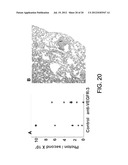 COMPOSITIONS AND METHODS COMPRISING VEGFR-2 AND VEGFR-3 ANTAGONISTS FOR     THE TREATMENT OF METASTATIC DISEASE diagram and image