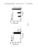 IL-27 Antagonists for Treating Inflammatory Diseases diagram and image