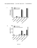 IL-27 Antagonists for Treating Inflammatory Diseases diagram and image