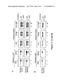 NOVEL HUMAN P53 SPLICE VARIANT DISPLAYING DIFFERENTIAL TRANSCRIPTIONAL     ACTIVITY diagram and image