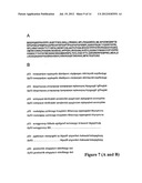 NOVEL HUMAN P53 SPLICE VARIANT DISPLAYING DIFFERENTIAL TRANSCRIPTIONAL     ACTIVITY diagram and image