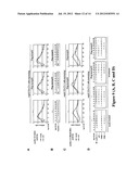 NOVEL HUMAN P53 SPLICE VARIANT DISPLAYING DIFFERENTIAL TRANSCRIPTIONAL     ACTIVITY diagram and image