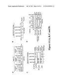 NOVEL HUMAN P53 SPLICE VARIANT DISPLAYING DIFFERENTIAL TRANSCRIPTIONAL     ACTIVITY diagram and image