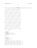 NOVEL HUMAN P53 SPLICE VARIANT DISPLAYING DIFFERENTIAL TRANSCRIPTIONAL     ACTIVITY diagram and image