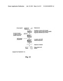 SERUM MARKERS ASSOCIATED WITH EARLY AND OTHER STAGES OF BREAST CANCER diagram and image